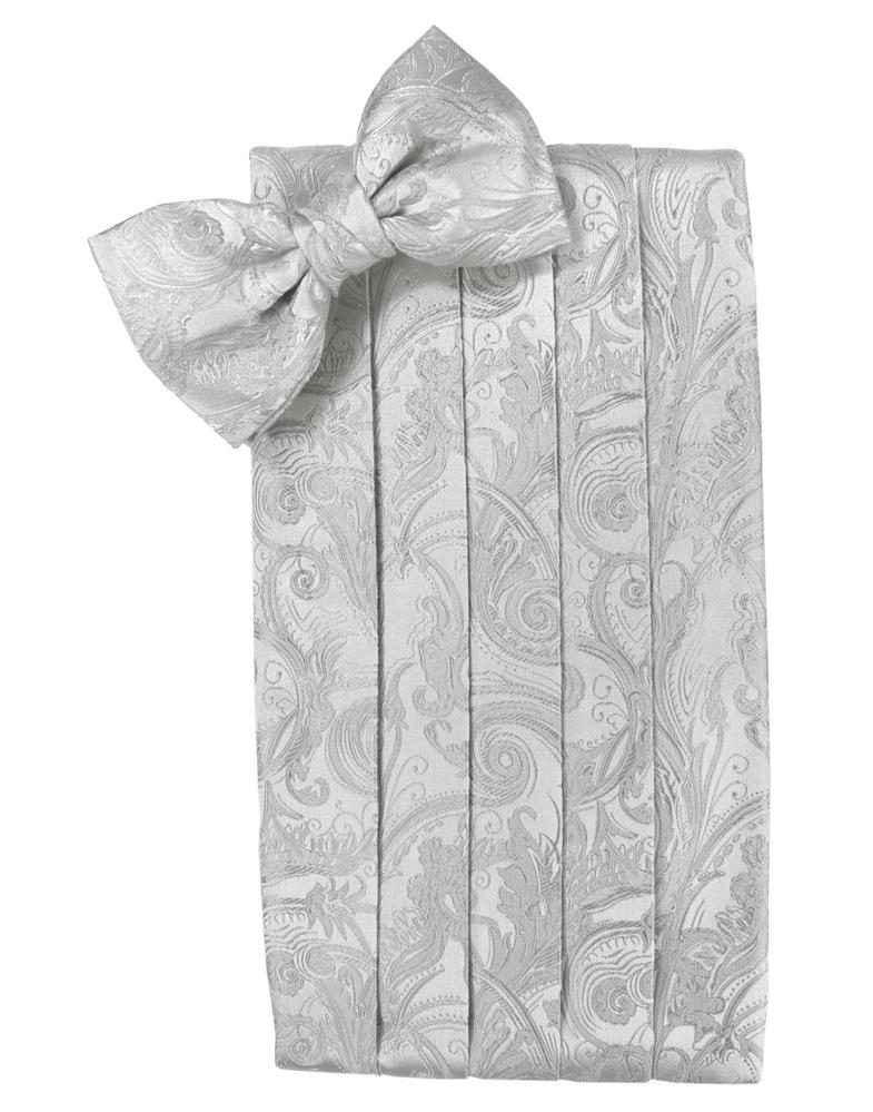 Cristoforo Cardi Platinum Tapestry Silk Cummerbund & Bow Tie Set