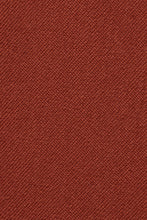 BLACKTIE "Liam" Kids Rust Suit (5-Piece Set)