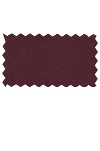 Giorgio Fiorelli Solid Burgundy Suit (2-Piece Set)