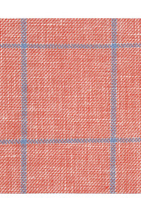 Red Windowpane Sports Jacket