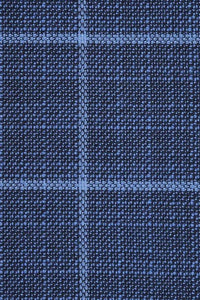 Blue Windowpane Sports Jacket
