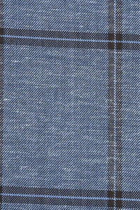 Blue Windowpane Sports Jacket