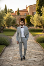 RN Collection Grey Cotton Stripe 2-Button Notch Suit (2-Piece Set)