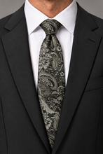 Ted Stanford AA Clover Aries Floral Paisley Necktie