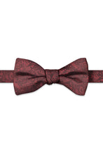 Ted Stanford Apple Red Aries Floral Paisley Hand Knot Banded Bow Tie