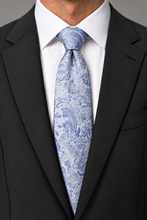 Ted Stanford AZ Periwinkle Aries Floral Paisley Necktie
