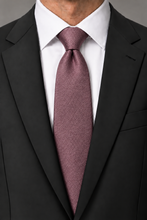 Ted Stanford Berry Metro Solid Necktie