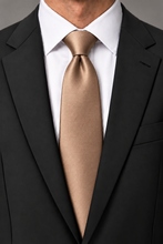 Ted Stanford Camel Metro Satin Necktie