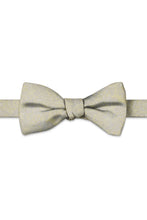 Ted Stanford Canary Aries Floral Paisley Hand Knot Banded Bow Tie