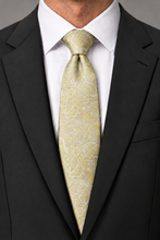Ted Stanford Canary Aries Floral Paisley Necktie