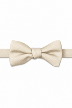 Ted Stanford Creme Metro Solid Hand Knot Banded Bow Tie