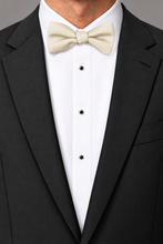 Ted Stanford Creme Metro Solid Hand Knot Banded Bow Tie