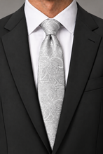 Ted Stanford Diamond White Aries Floral Paisley Necktie