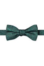 Ted Stanford Forest Aries Floral Paisley Hand Knot Banded Bow Tie