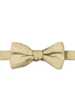 Ted Stanford Gold Aries Floral Paisley Hand Knot Banded Bow Tie