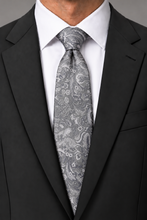 Ted Stanford Heather Aries Floral Paisley Necktie