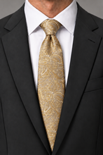 Ted Stanford Midas Gold Aries Floral Paisley Necktie