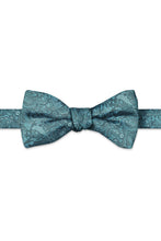 Ted Stanford Oasis Aries Floral Paisley Hand Knot Banded Bow Tie