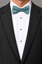 Ted Stanford Oasis Aries Floral Paisley Hand Knot Banded Bow Tie