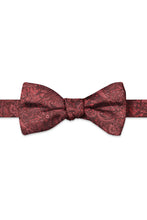 Ted Stanford Ruby Aries Floral Paisley Hand Knot Banded Bow Tie