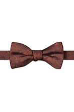 Ted Stanford Rust Aries Floral Paisley Hand Knot Banded Bow Tie
