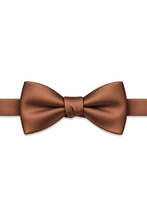 Ted Stanford Rust Metro Satin Hand Knot Banded Bow Tie