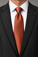 Ted Stanford Rust Metro Satin Necktie