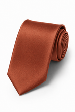 Ted Stanford Rust Metro Satin Necktie