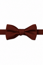 Ted Stanford Rust Metro Solid Hand Knot Banded Bow Tie