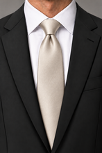 Ted Stanford Tan Metro Satin Necktie