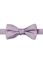 Ted Stanford Wisteria Aries Floral Paisley Hand Knot Banded Bow Tie