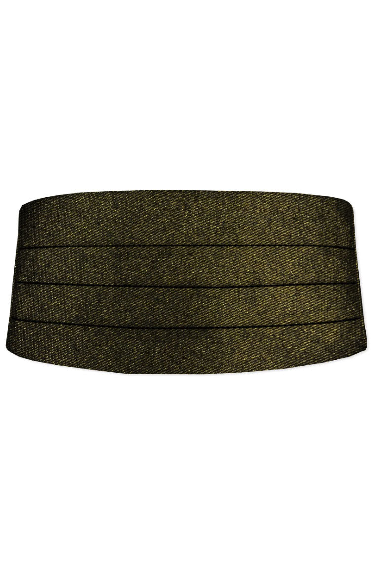 Tux Park Gold Metallic Cummerbund
