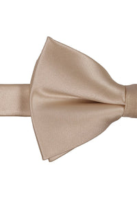 BLACKTIE Champagne Eternity Bow Tie
