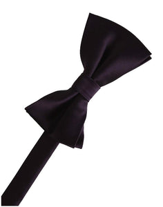 BLACKTIE Plum Eternity Bow Tie