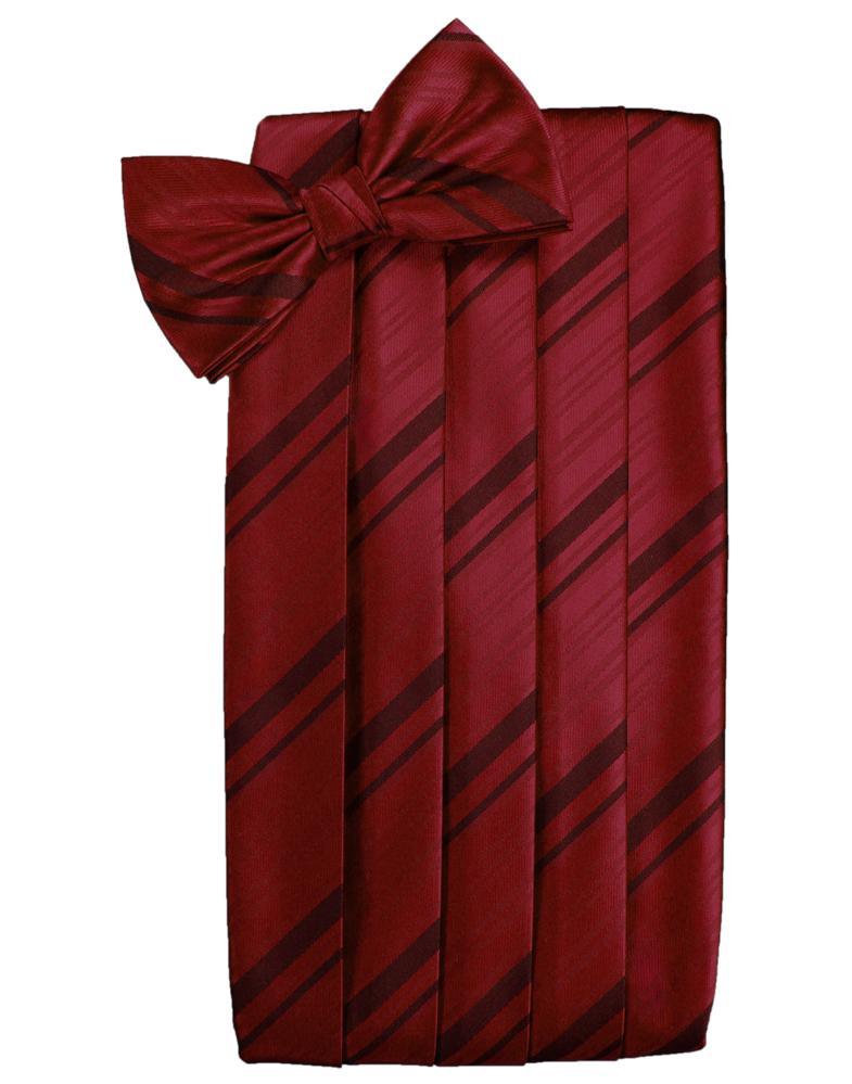 Cardi Apple Striped Satin Cummerbund