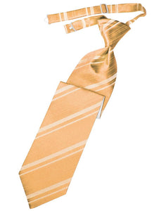 Cardi Apricot Striped Satin Kids Necktie