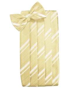 Cardi Banana Striped Satin Cummerbund