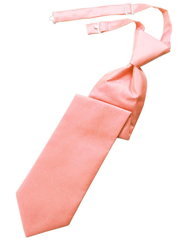 Cardi Coral Solid Twill Kids Necktie