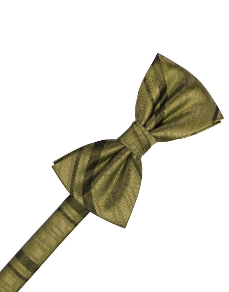 Cardi Fern Striped Satin Kids Bow Tie