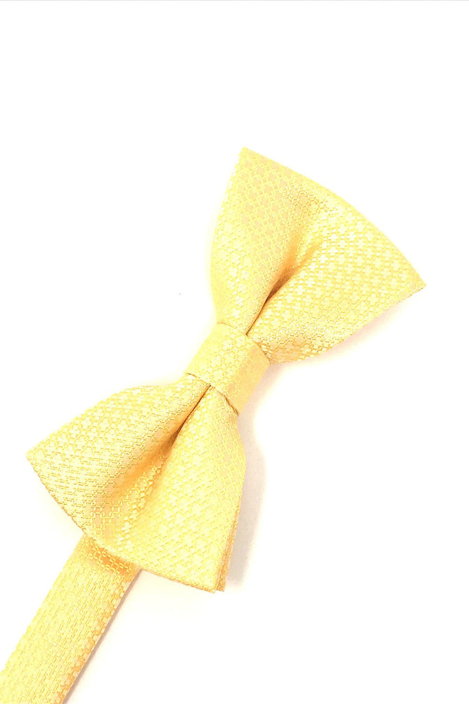 Cardi Harvest Maize Regal Kids Bow Tie