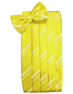 Cardi Lemon Striped Satin Cummerbund