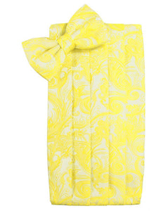 Cardi Lemon Tapestry Cummerbund