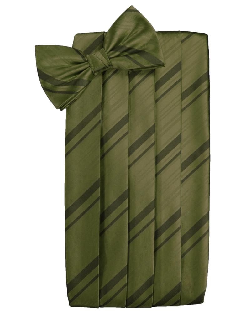 Cardi Moss Striped Satin Cummerbund