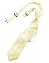 Cardi Pre-Tied Canary Tapestry Skinny Necktie