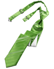 Cardi Pre-Tied Kelly Striped Satin Skinny Necktie
