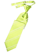 Cardi Pre-Tied Lime Striped Satin Necktie