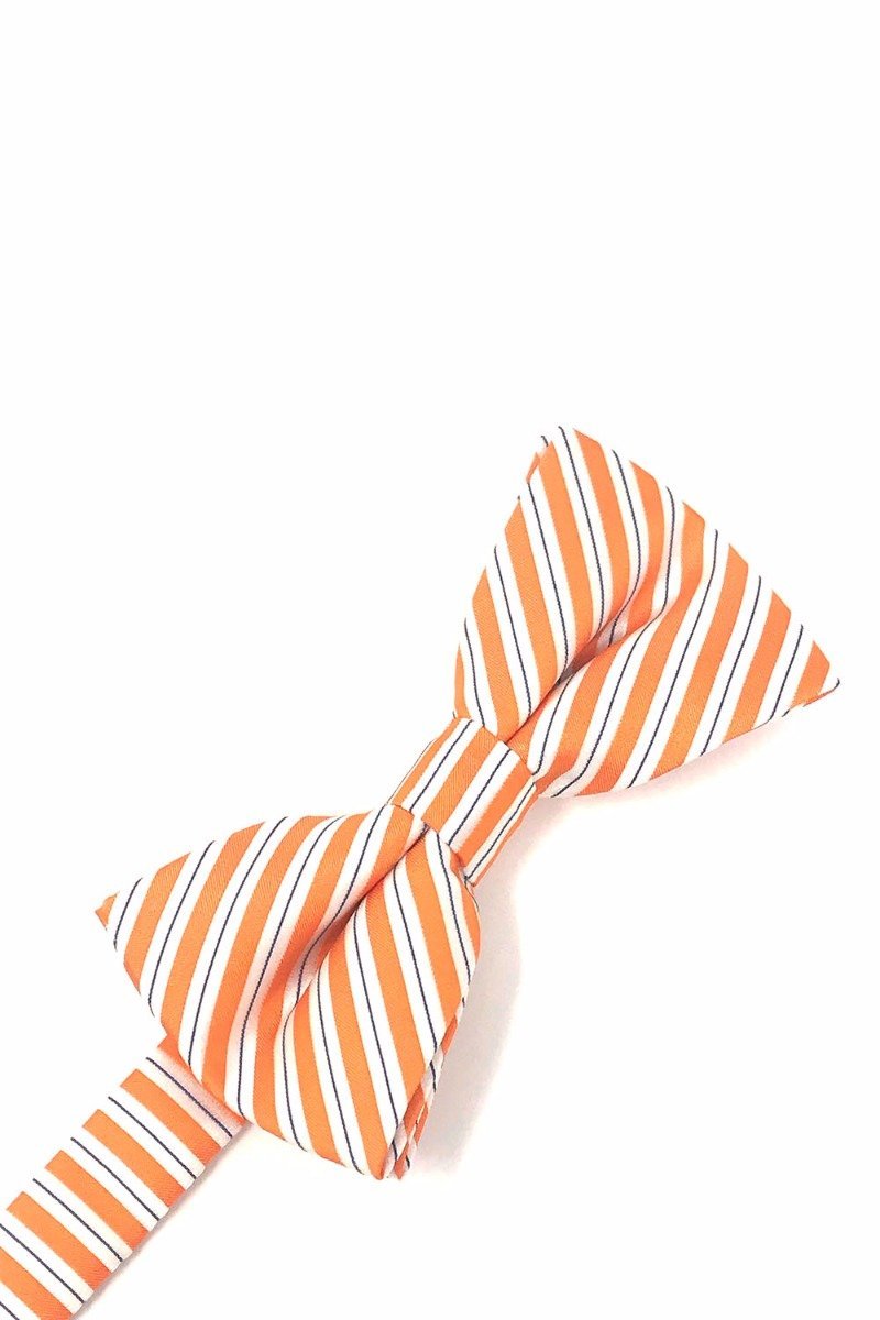 Orange Newton Stripe Bow Tie