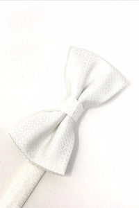 White Regal Bow Tie