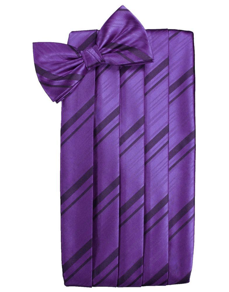 Cardi Purple Kids Striped Satin Cummerbund