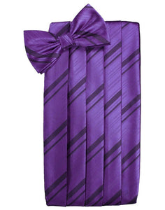 Cardi Purple Striped Satin Cummerbund